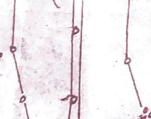 ग्रामीण शेत रस्ता